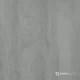 Срез дуба белый