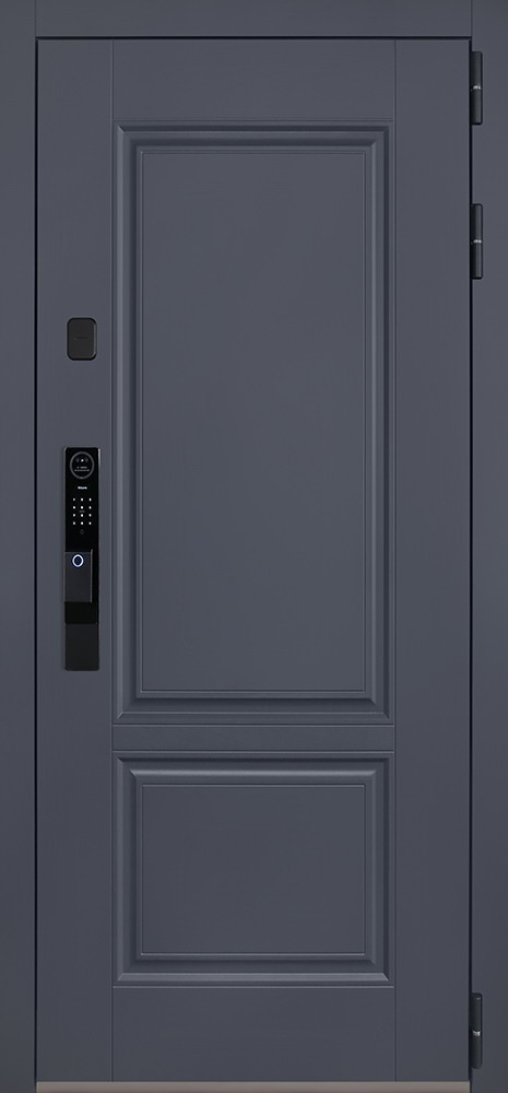 https://as-doors.ru/img/2026/ledo-y12/ledo-grfit-y12-17.jpg